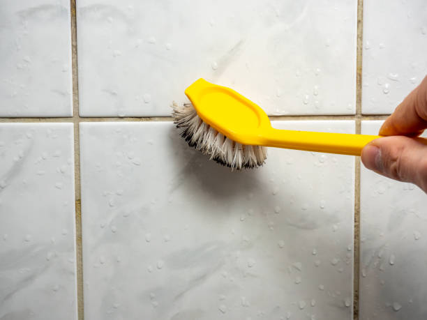 Best Attic Mold Removal  in Hondo, TX