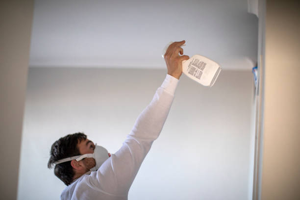 Best Certified Mold Removal  in Hondo, TX
